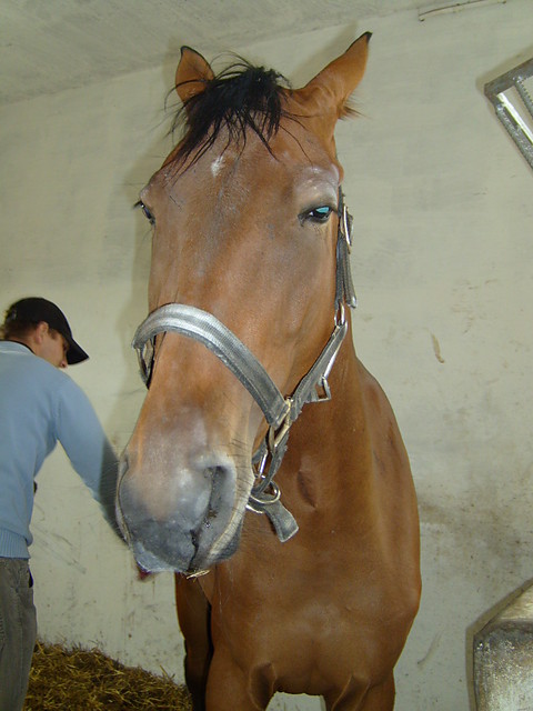 Witam 