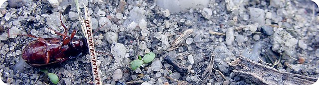 sobota.