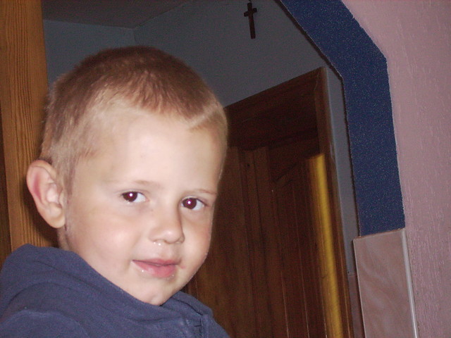zwaowy pitek