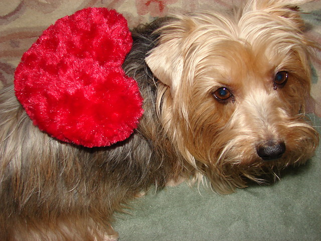 Wpis lilstrawberrie