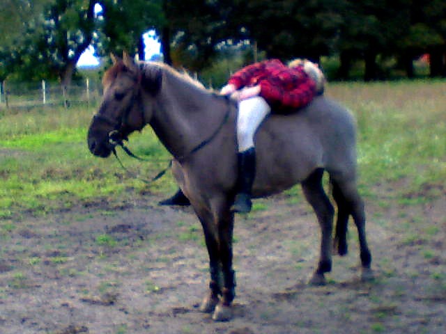 Pif, paf xD