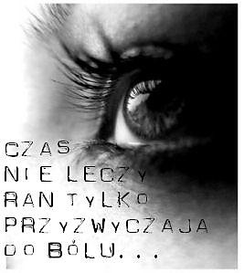 Wpis taniedobra15