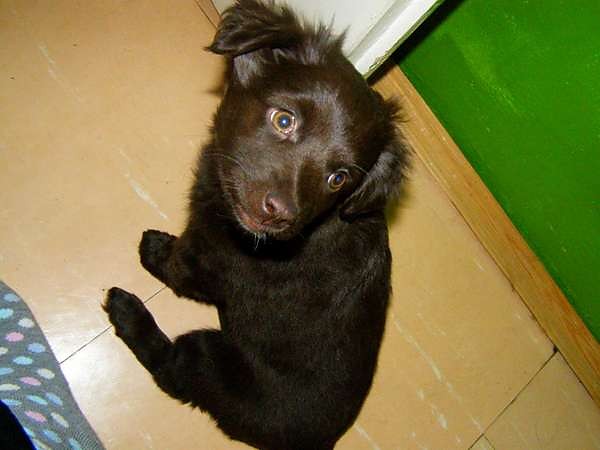 Powracam :)