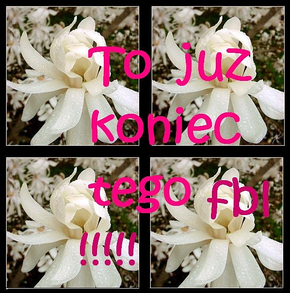 Koniec !!! 