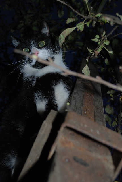 Wpis myownsfoto