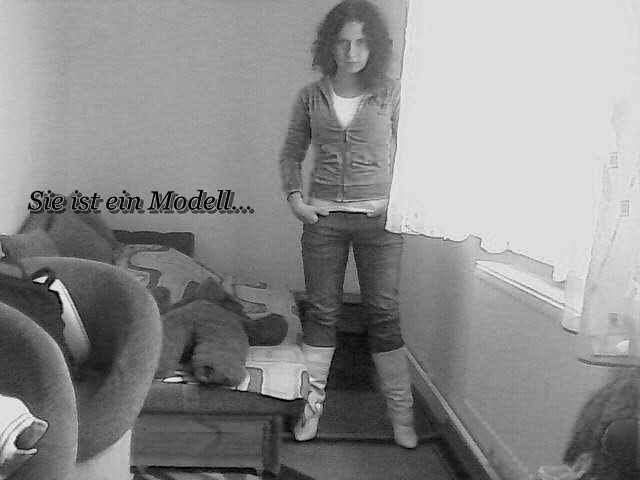 Das Modell...