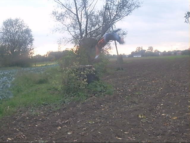 Backflip