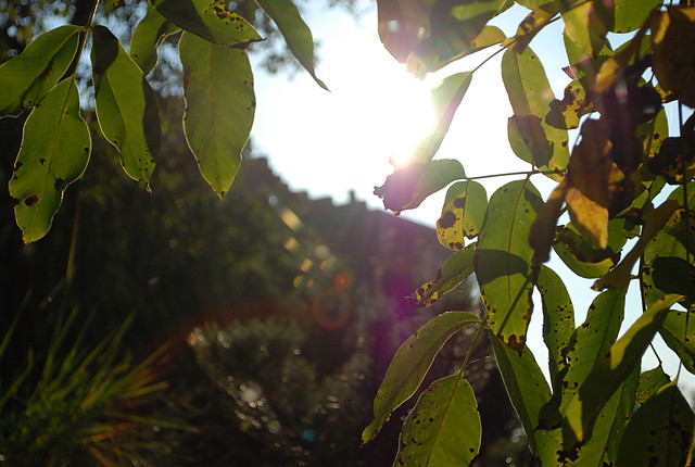 Wpis myownsfoto