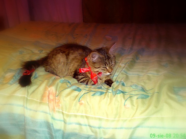 frania