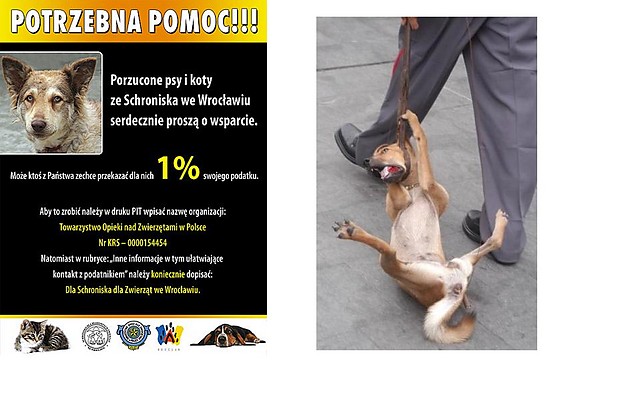 Wpis bezdomne