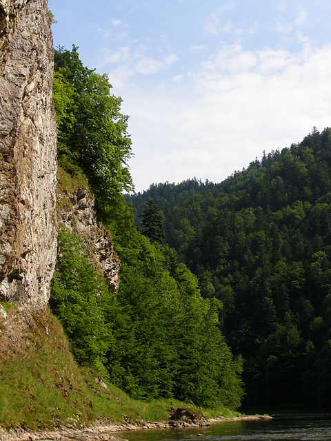 obidi maju