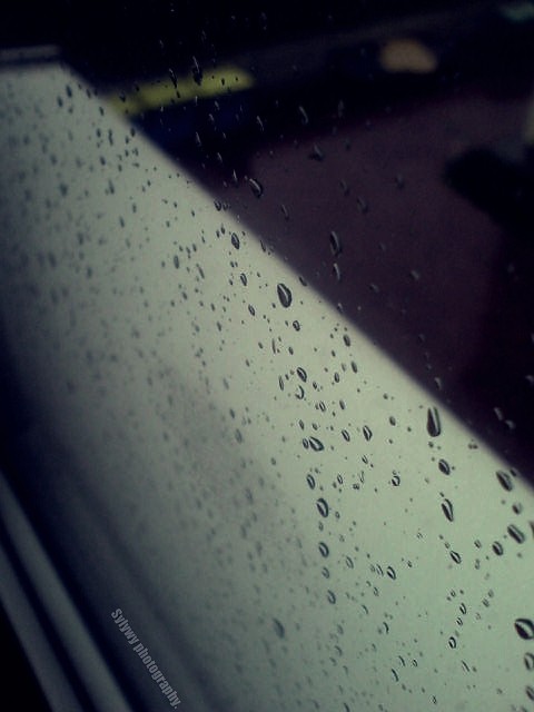Not guut. 