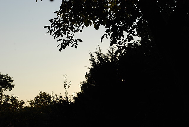 Wpis myownsfoto