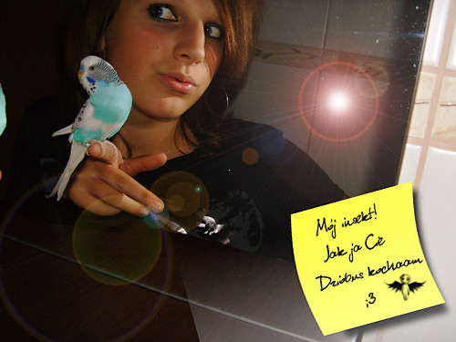 tfyyy..XD