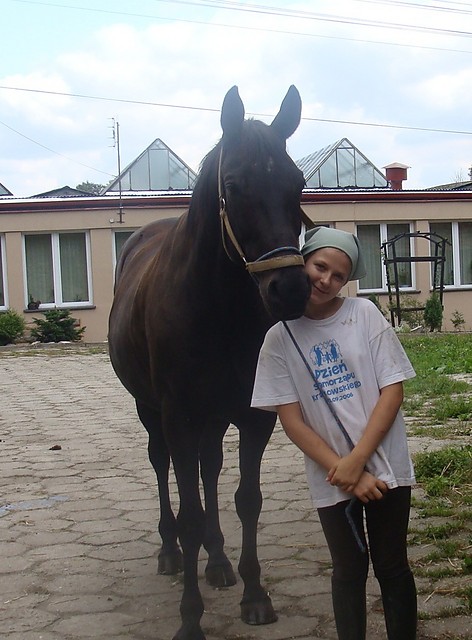 Karaluch i Mi