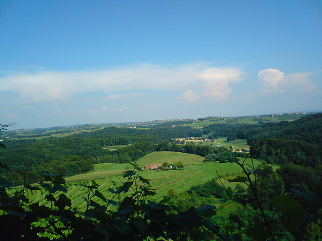 lesiu...