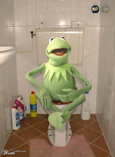 KERMIT ;P