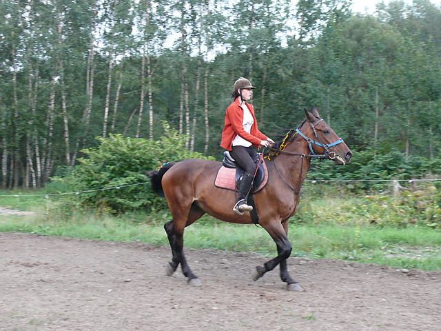 Montanka [*]