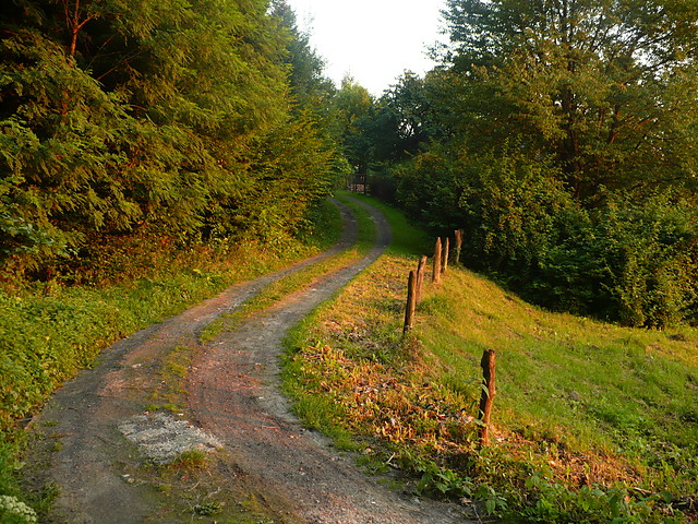 Cigle Bieszczady ;]
