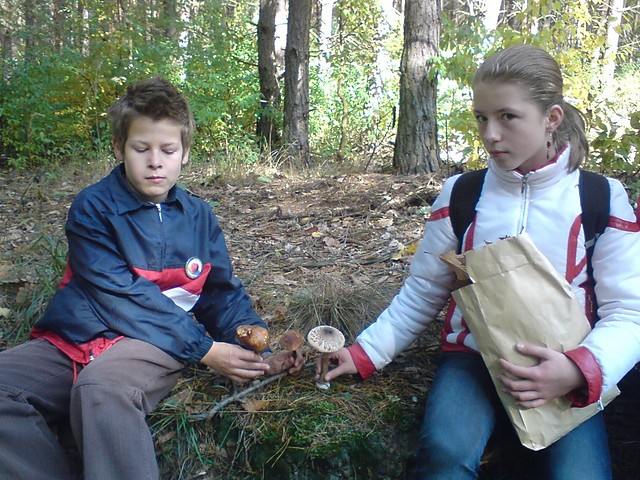 Wpis paulinka12xxx