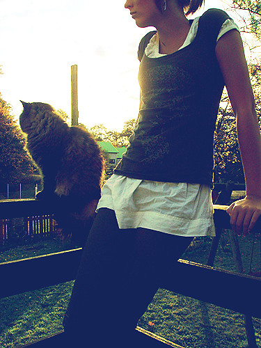 like a cat on hot bricks