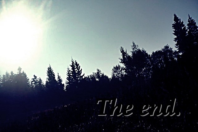 The end.