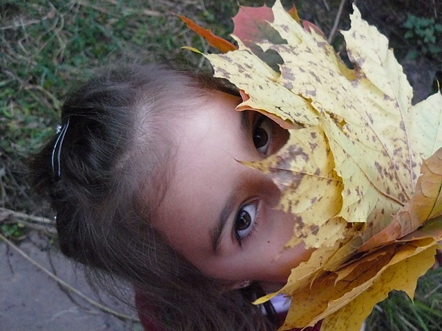 Alusia ;*