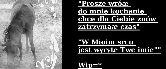 Wpis wipus12