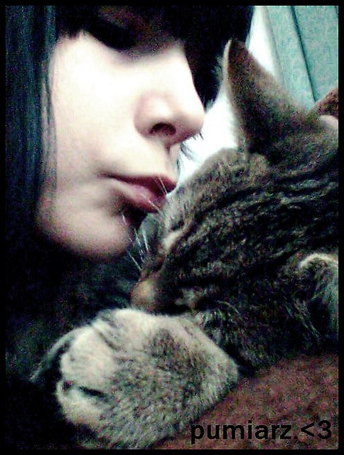 Wpis xkitty