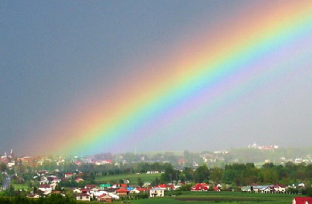 tcza nad miastem