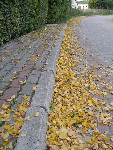 Wpis suski3000