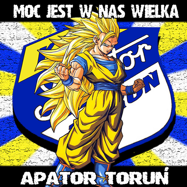 Wpis finiol