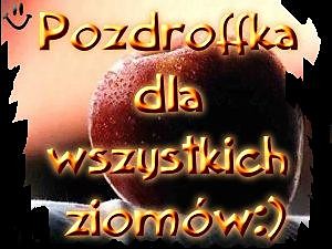 Wpis 2daisy