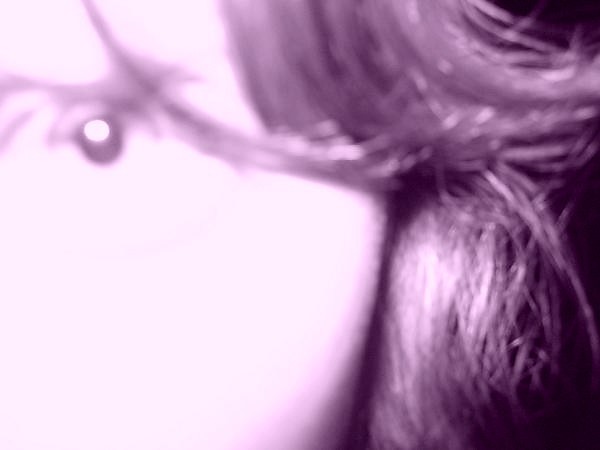 Wpis pannaduff