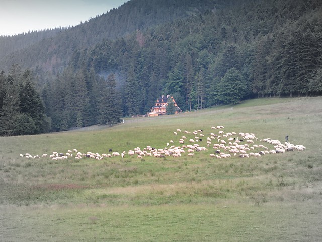 zakopane.