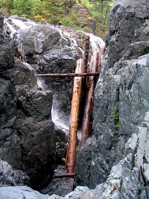 Natura ma druga matka