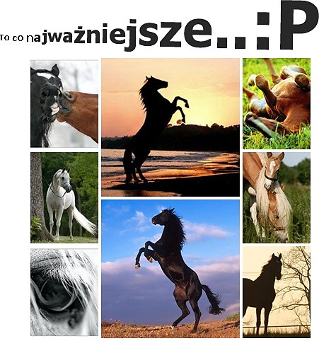 To co najwzniejsze..:P
