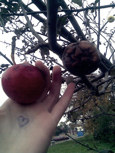 Wpis cheeky6cherry