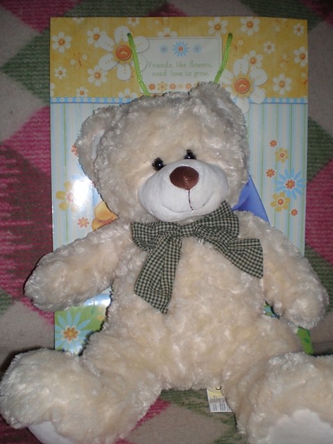 Teddy Bear 