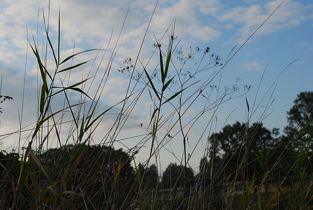 Wpis myownsfoto