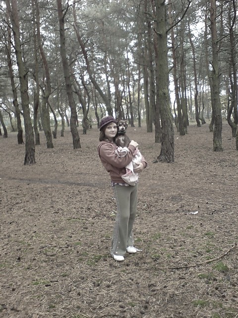 Wpis paulis97