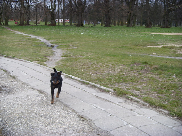 Wpis mruffka34
