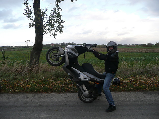 PATRYKUS KOO ;D