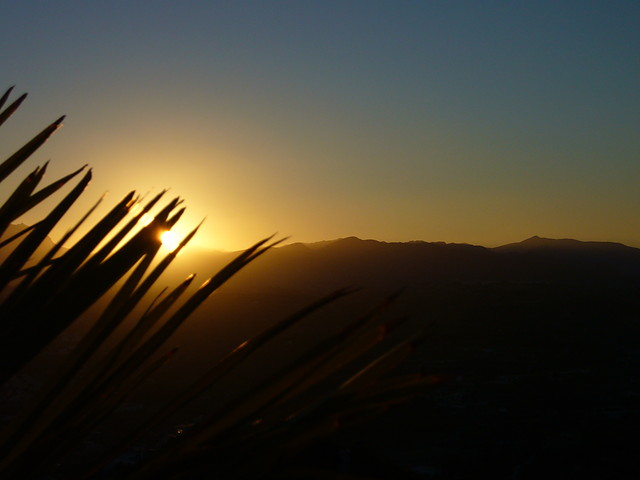 ALICANTE - HISZPANIA