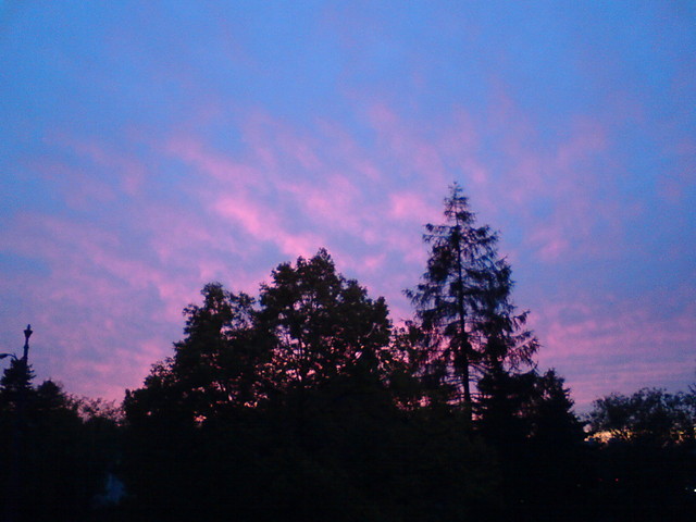 Widok :)