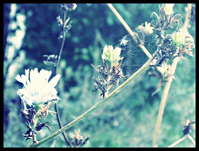 tyrytyrytyty. :|