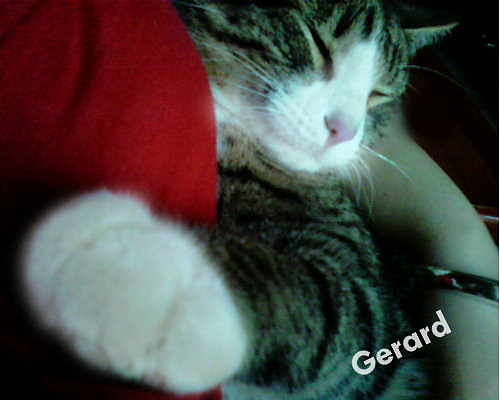 Gerardowo!