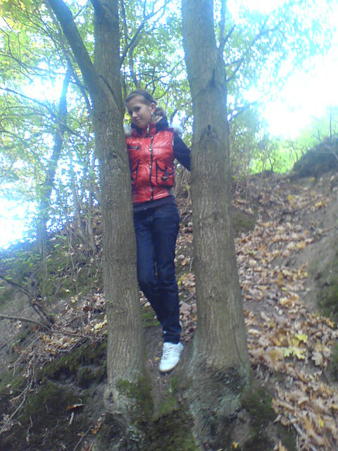 Gdzie tam w lesiee xp