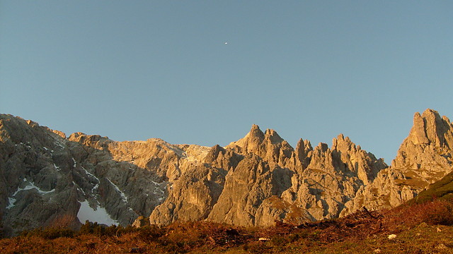 alpy 2008