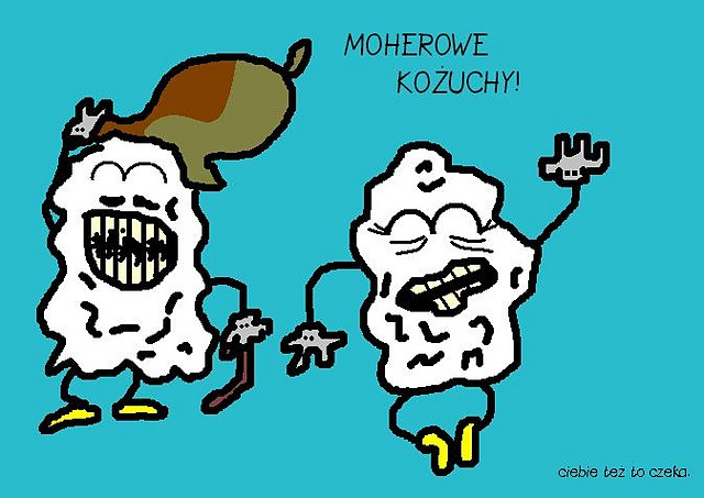Wpis sznurowa71